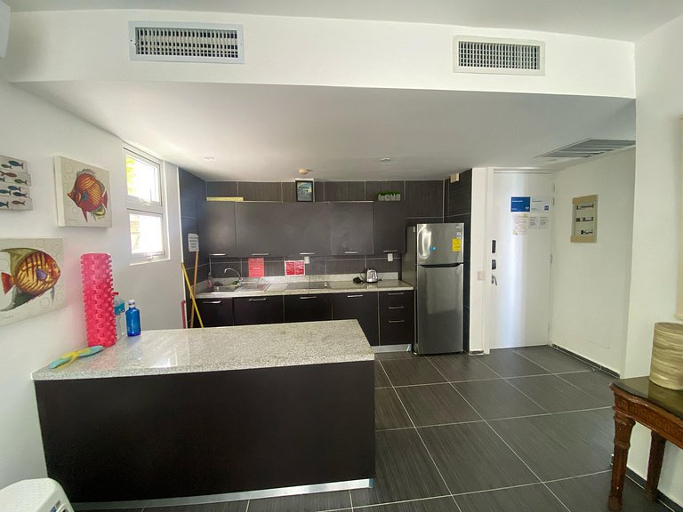 Cozy Oceanview Retreat Samana XIV-101
