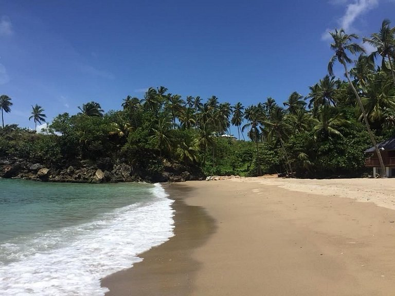 Ballena Bay Apt en Samana